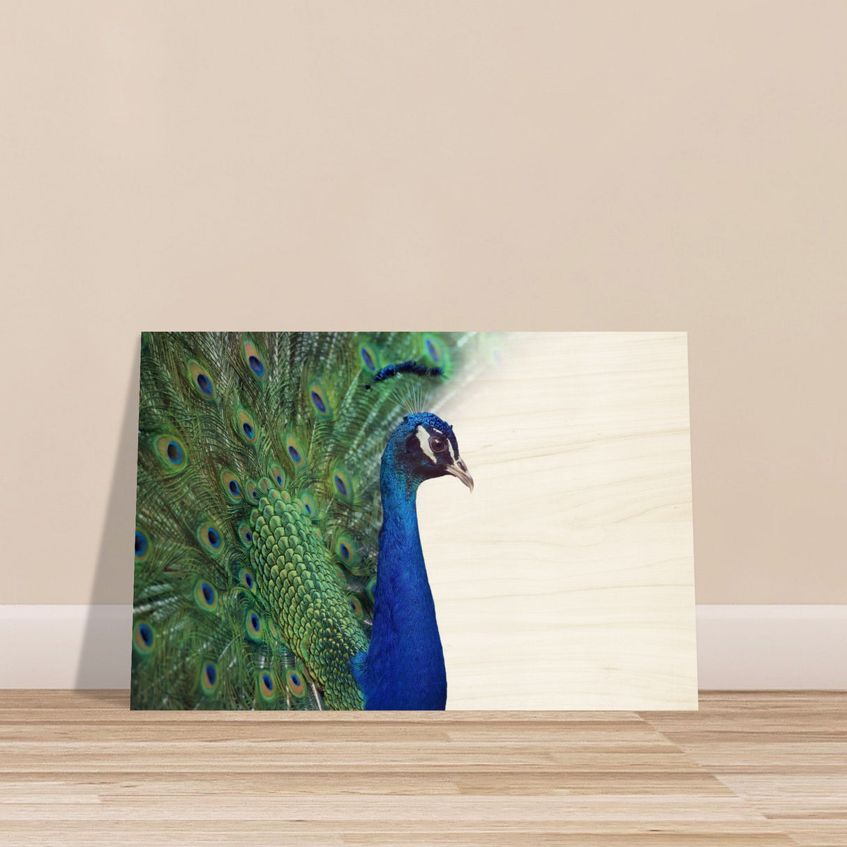  animal kingdom wall art print collection peacock