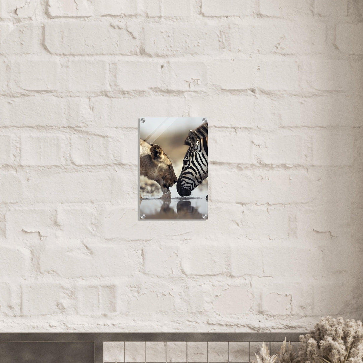  nature wall art wild life prints lion zebra