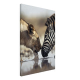  nature wall art wild life prints lion zebra