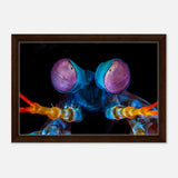 da vinci animal kingdom art wall art print eyes of peacock mantis shrimpWood Prints