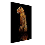  animal kingdom wall art print wildlife leopard