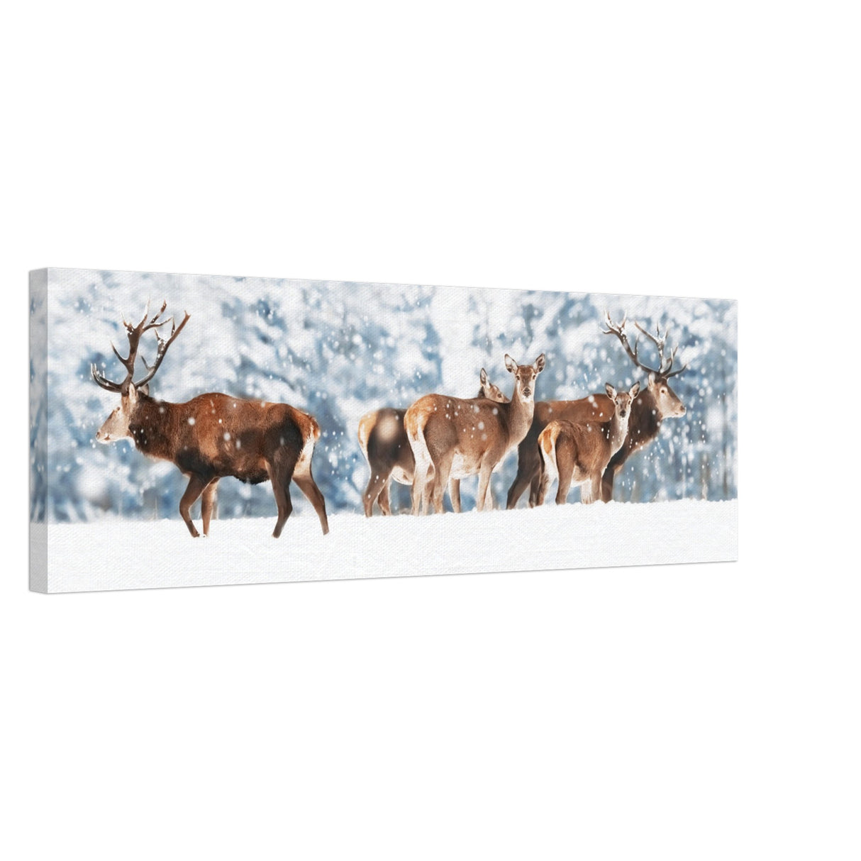  animal kingdom wall art print collection deer canvas print