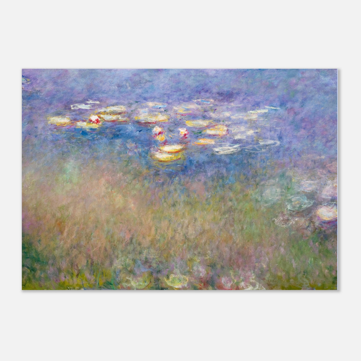 water lilies by claude monet