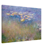 water lilies by claude monet