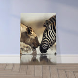  nature wall art wild life prints lion zebra