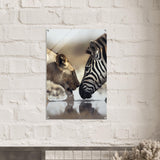  nature wall art wild life prints lion zebra