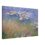 water lilies by claude monet