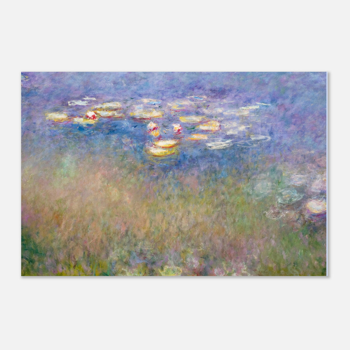 water lilies by claude monet