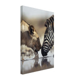  nature wall art wild life prints lion zebra