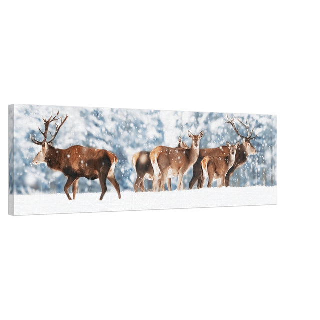  animal kingdom wall art print collection deer canvas print