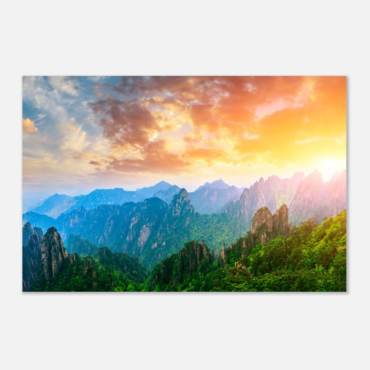  nature art wall art print