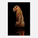 Da Vinci Animal Kingdom Wall art print | Wildlife | Leopard - Wood Prints - 30x45 cm / 12x18″ - 10 mm