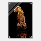 Da Vinci Animal Kingdom Wall art print | Wildlife | Leopard - Acrylic Print - 30x45 cm / 12x18″ - 