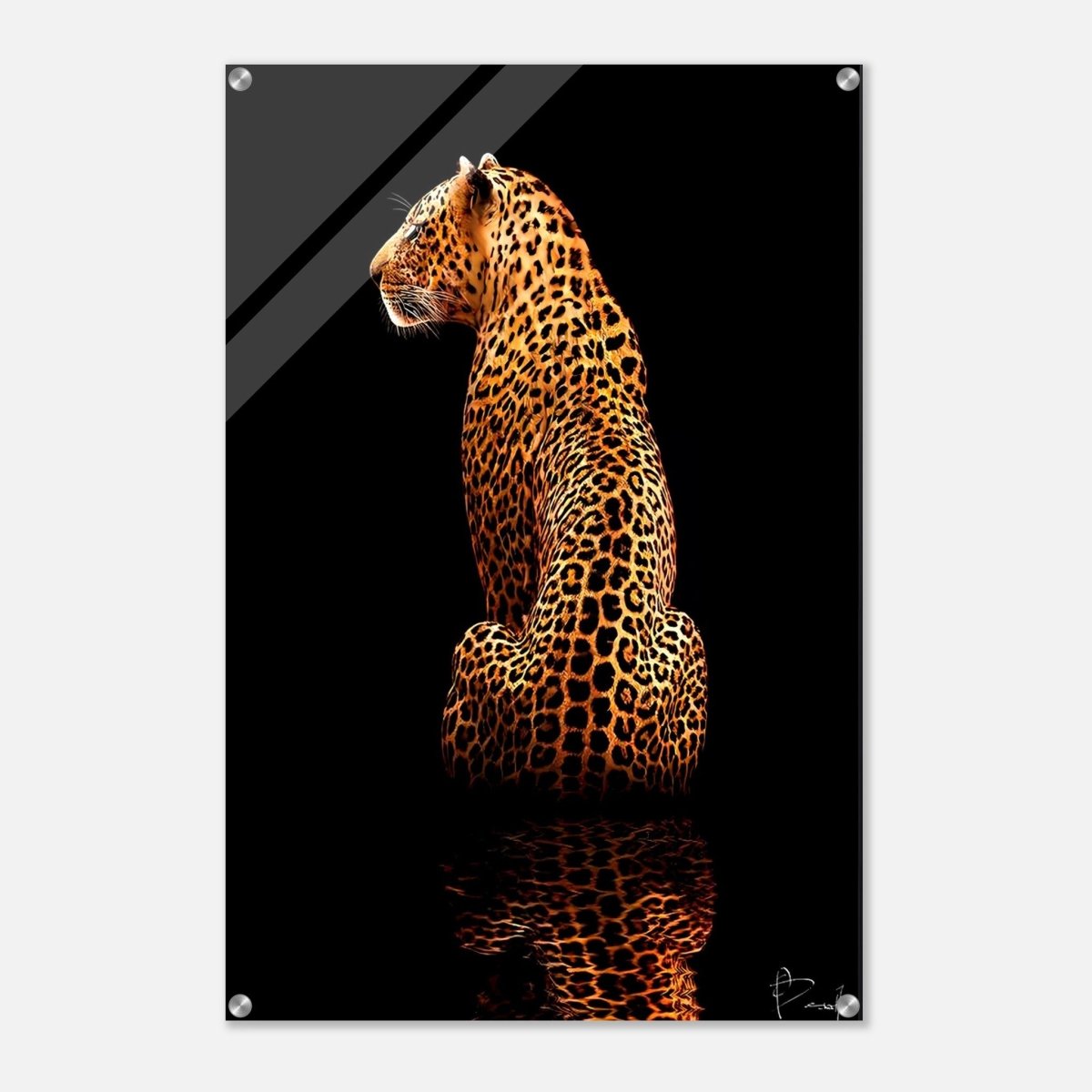 Da Vinci Animal Kingdom Wall art print | Wildlife | Leopard - Acrylic Print - 60x90 cm / 24x36″ - 