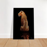 Da Vinci Animal Kingdom Wall art print | Wildlife | Leopard - Brushed Aluminum Print - 30x45 cm / 12x18″ - 