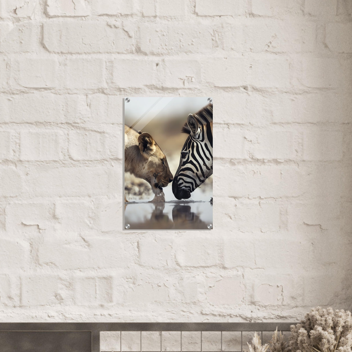  nature wall art wild life prints lion zebra