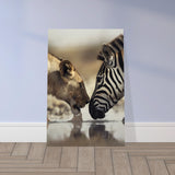  nature wall art wild life prints lion zebra