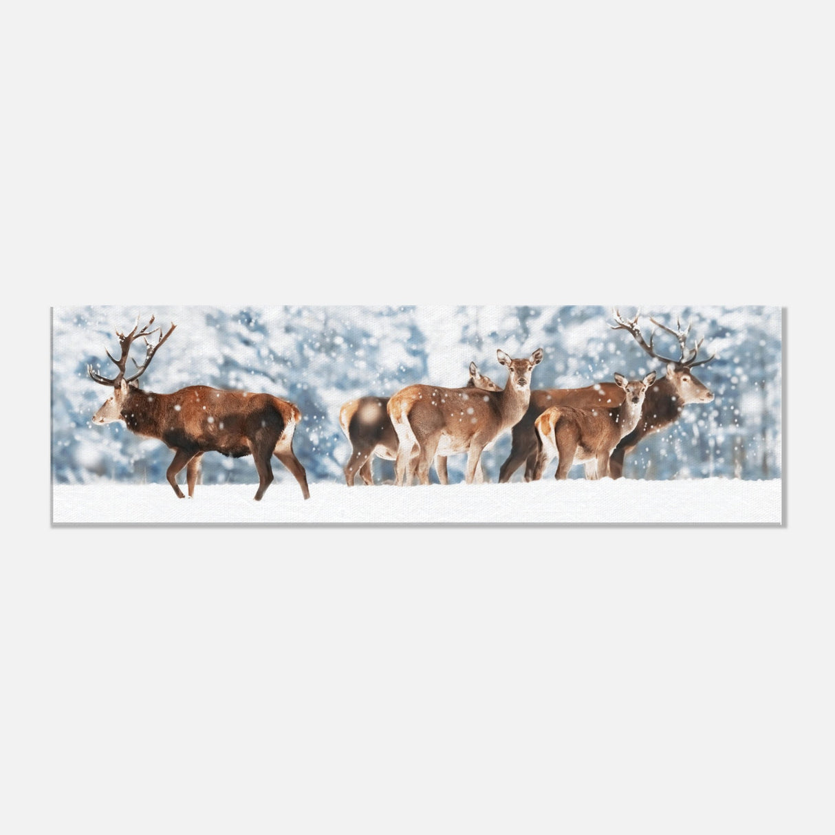  animal kingdom wall art print collection deer canvas print