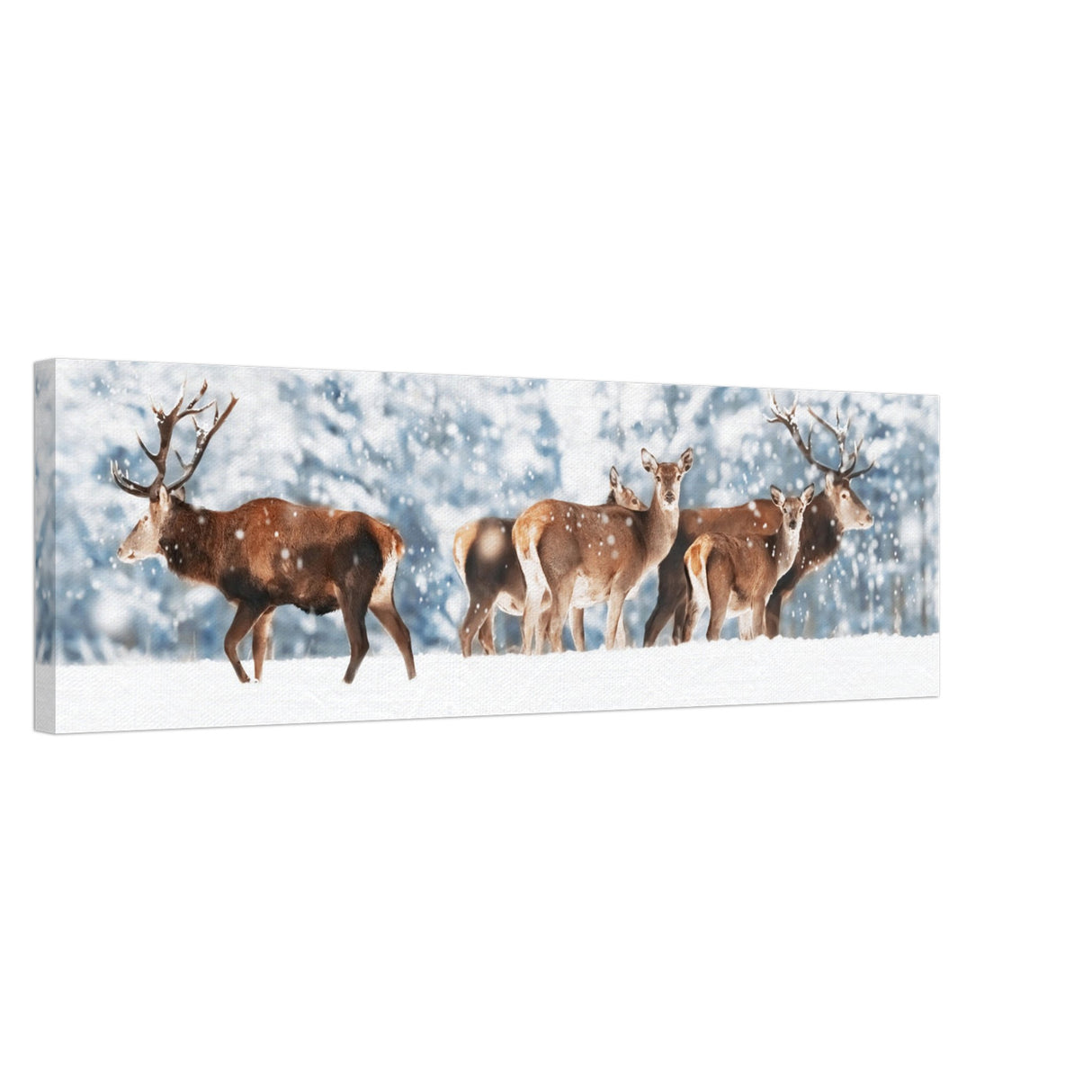  animal kingdom wall art print collection deer canvas print