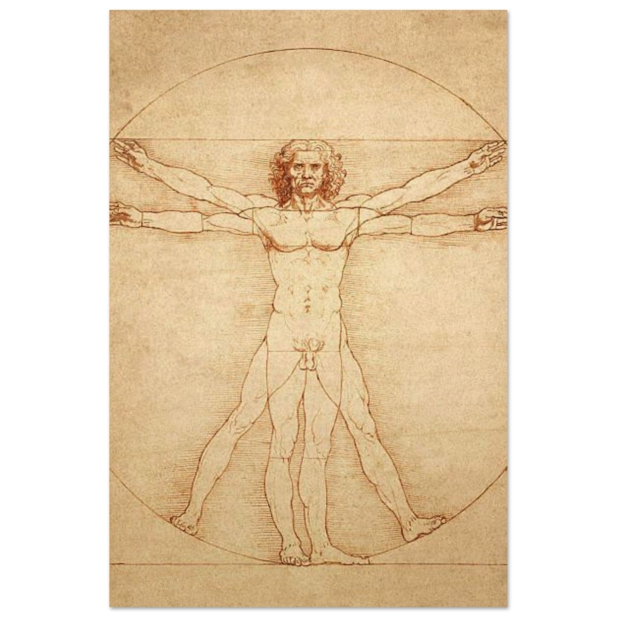 Vitruvian Man | L'uomo vitruviano by Leonardo da Vinci 1490 - Wood Prints - 50x75 cm / 20x30″ - 