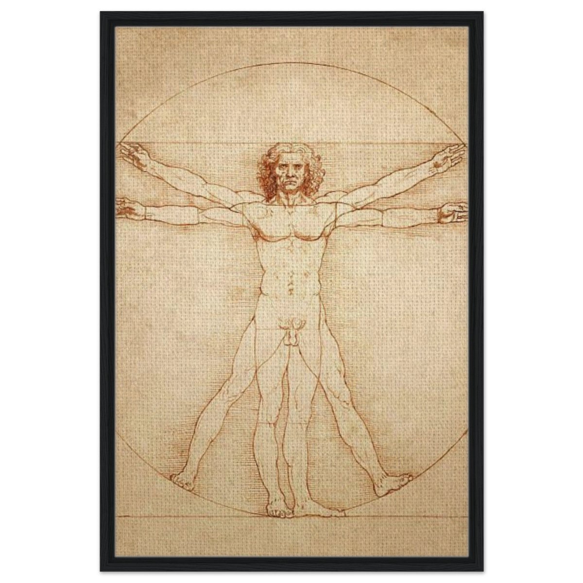 Vitruvian Man | L'uomo vitruviano by Leonardo da Vinci 1490 - Framed Canvas - 60x90 cm / 24x36″ - Black frame