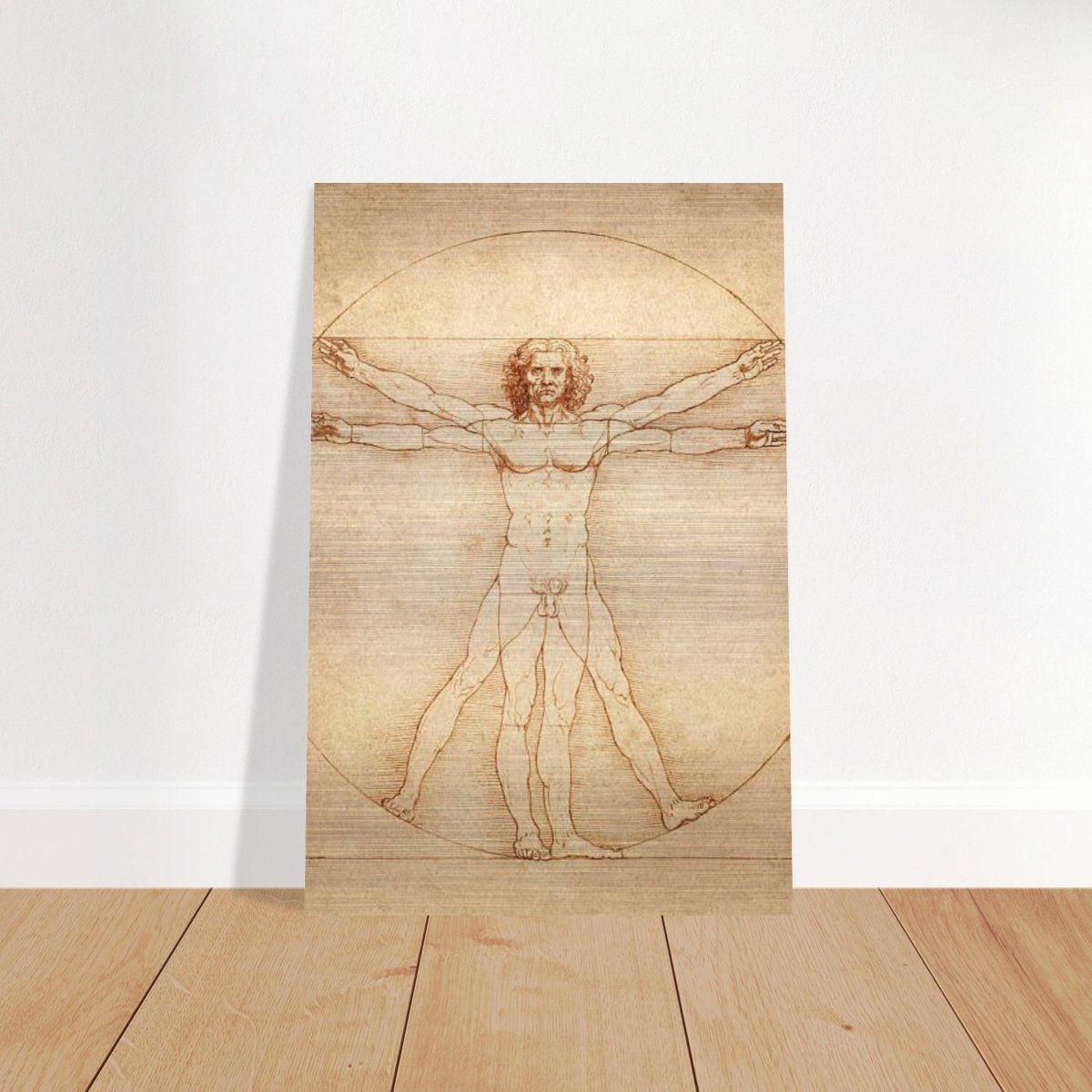 Vitruvian Man | L'uomo vitruviano by Leonardo da Vinci 1490 - Brushed Aluminum Print - 40x60 cm / 16x24″ - 