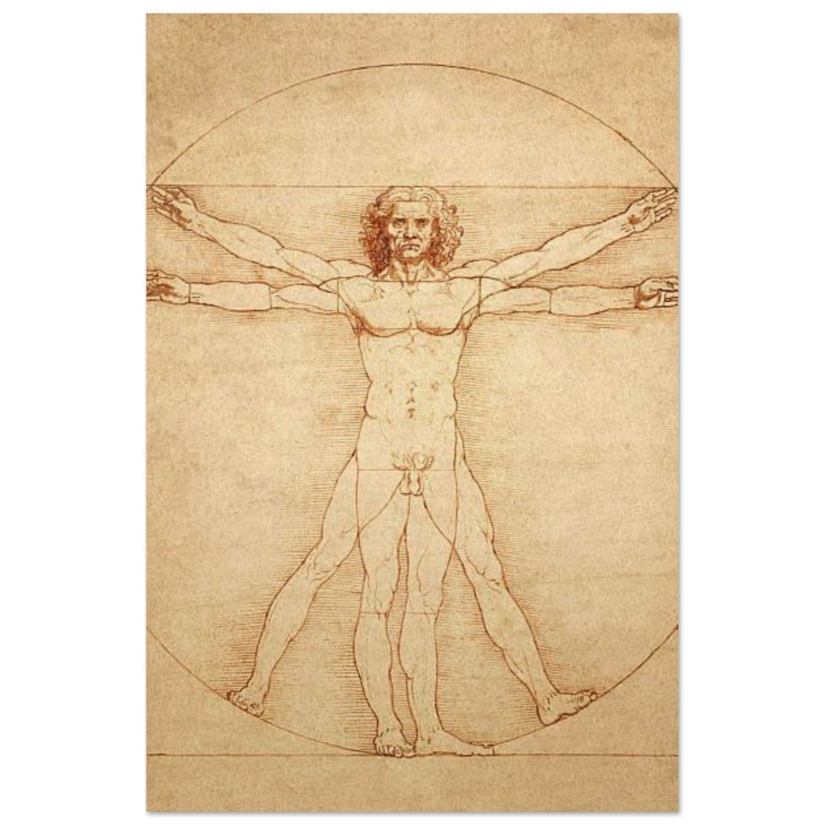 Vitruvian Man | L'uomo vitruviano by Leonardo da Vinci 1490 - Wood Prints - 40x60 cm / 16x24″ - 