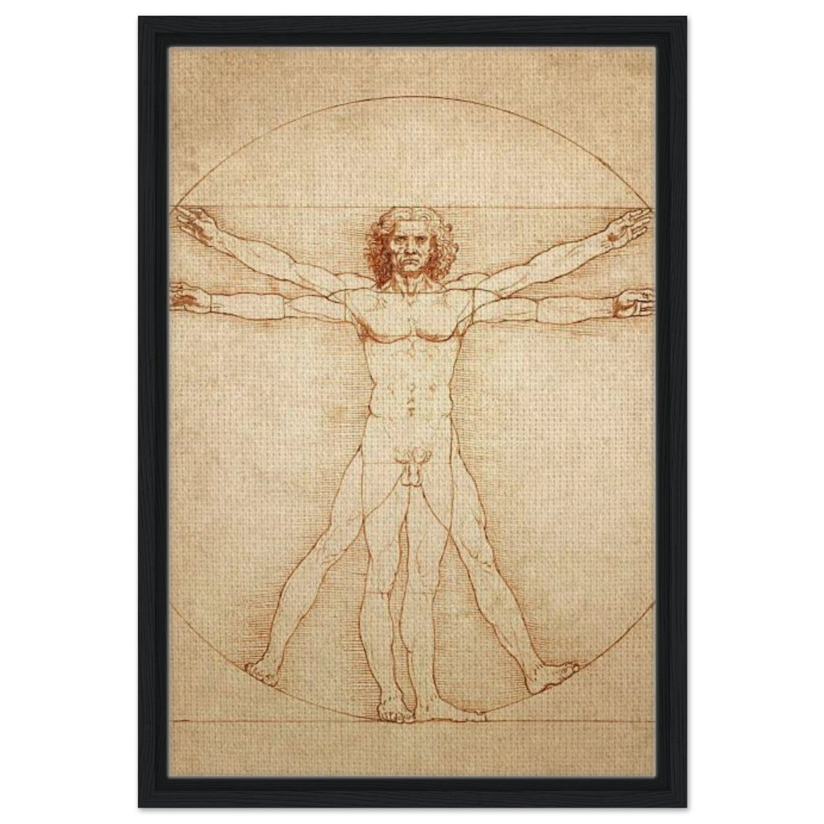 Vitruvian Man | L'uomo vitruviano by Leonardo da Vinci 1490 - Framed Canvas - 40x60 cm / 16x24″ - Black frame