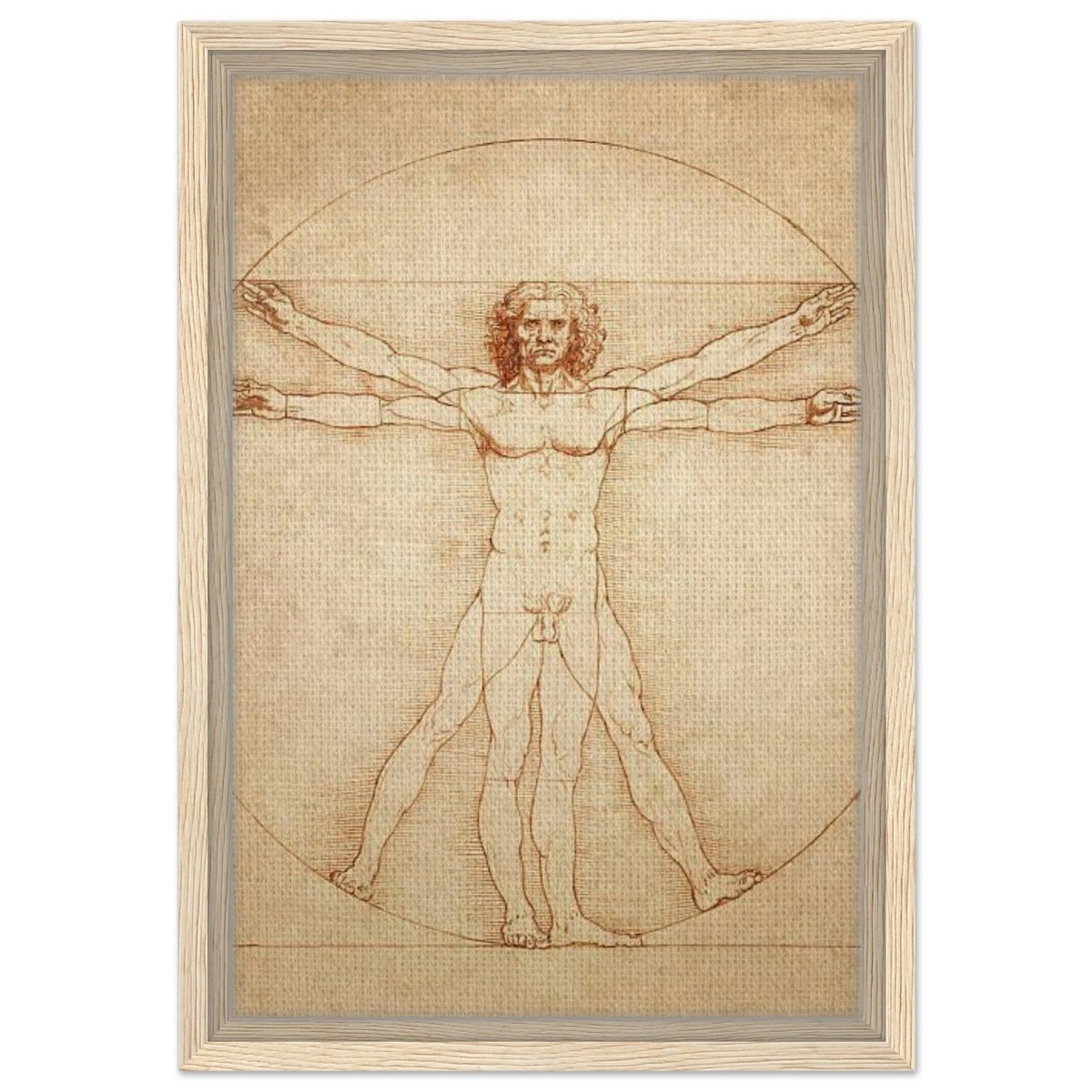 Vitruvian Man | L'uomo vitruviano by Leonardo da Vinci 1490 - Framed Canvas - 30x45 cm / 12x18″ - Wood frame