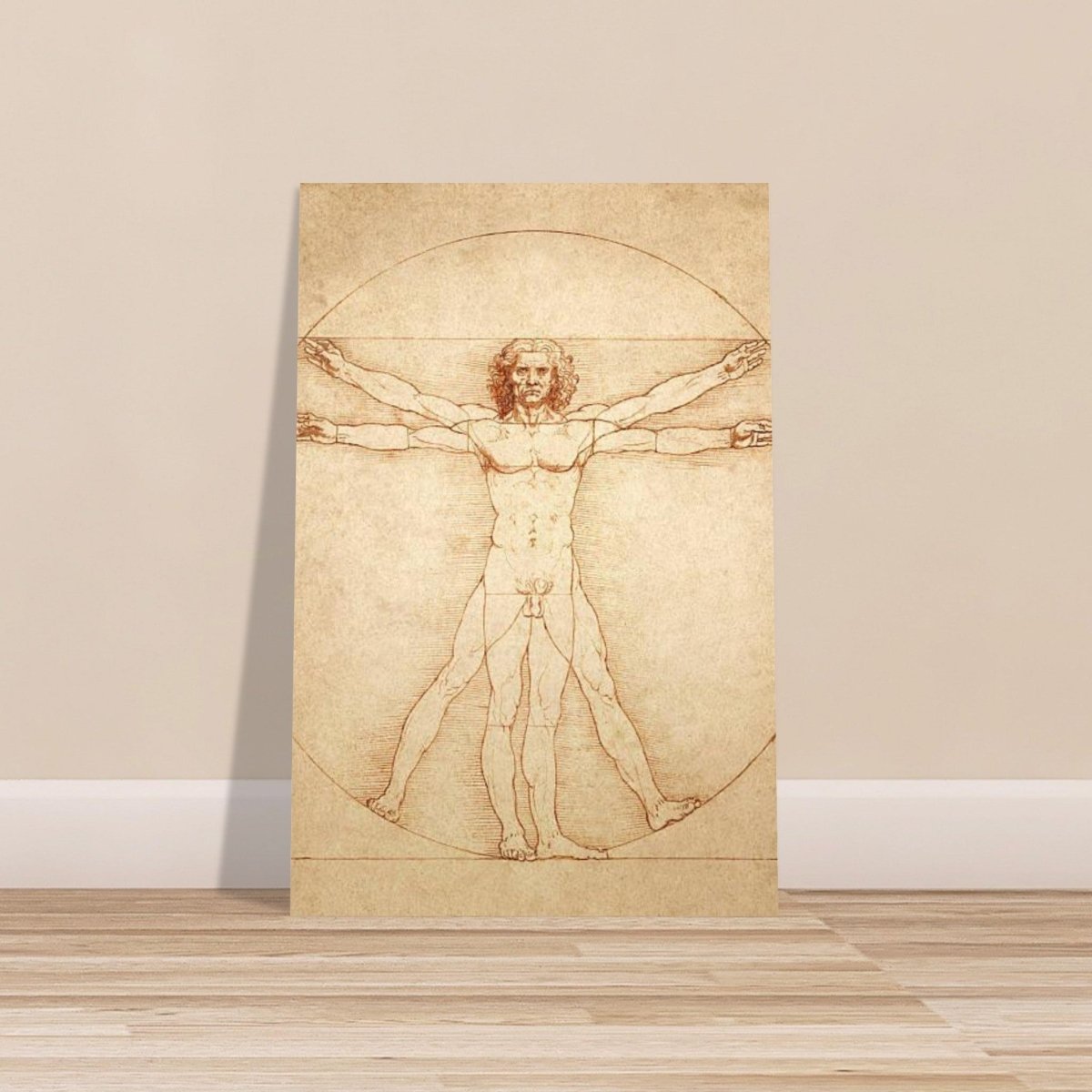 Vitruvian Man | L'uomo vitruviano by Leonardo da Vinci 1490 - Aluminum Print - 30x45 cm / 12x18″ - 