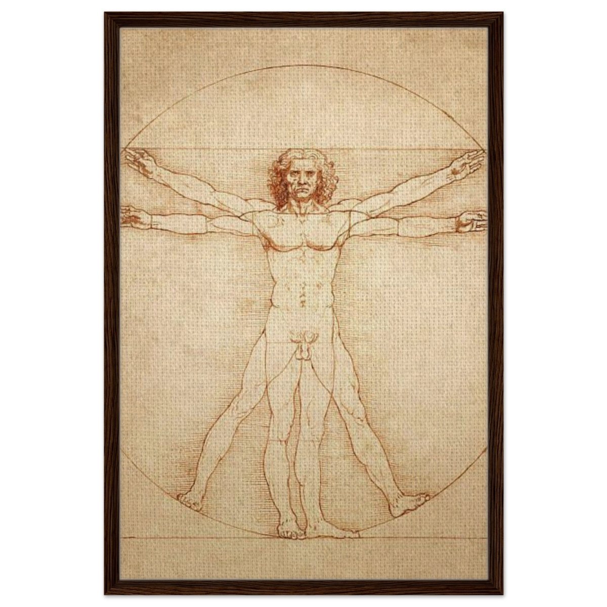 Vitruvian Man | L'uomo vitruviano by Leonardo da Vinci 1490 - Framed Canvas - 60x90 cm / 24x36″ - Dark wood frame