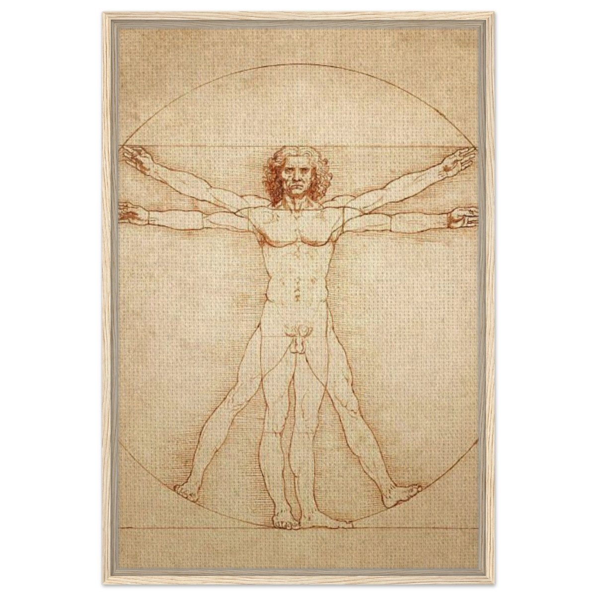 Vitruvian Man | L'uomo vitruviano by Leonardo da Vinci 1490 - Framed Canvas - 60x90 cm / 24x36″ - Wood frame