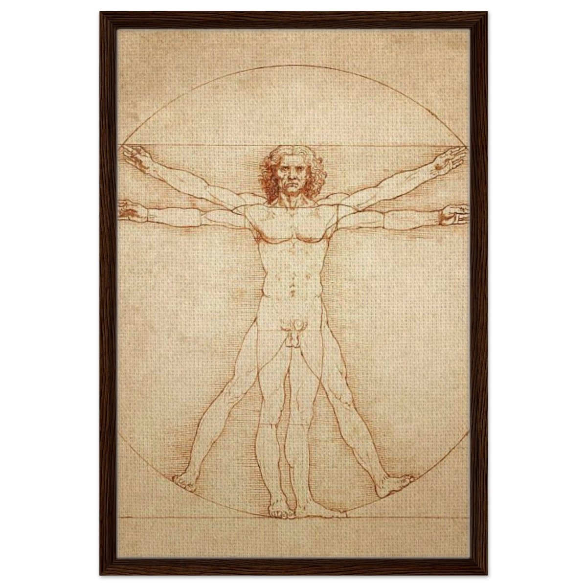 Vitruvian Man | L'uomo vitruviano by Leonardo da Vinci 1490 - Framed Canvas - 50x75 cm / 20x30″ - Dark wood frame