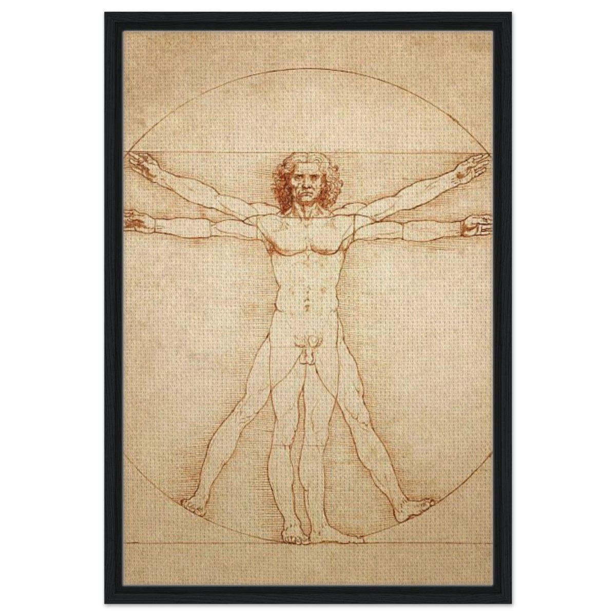 Vitruvian Man | L'uomo vitruviano by Leonardo da Vinci 1490 - Framed Canvas - 50x75 cm / 20x30″ - Black frame