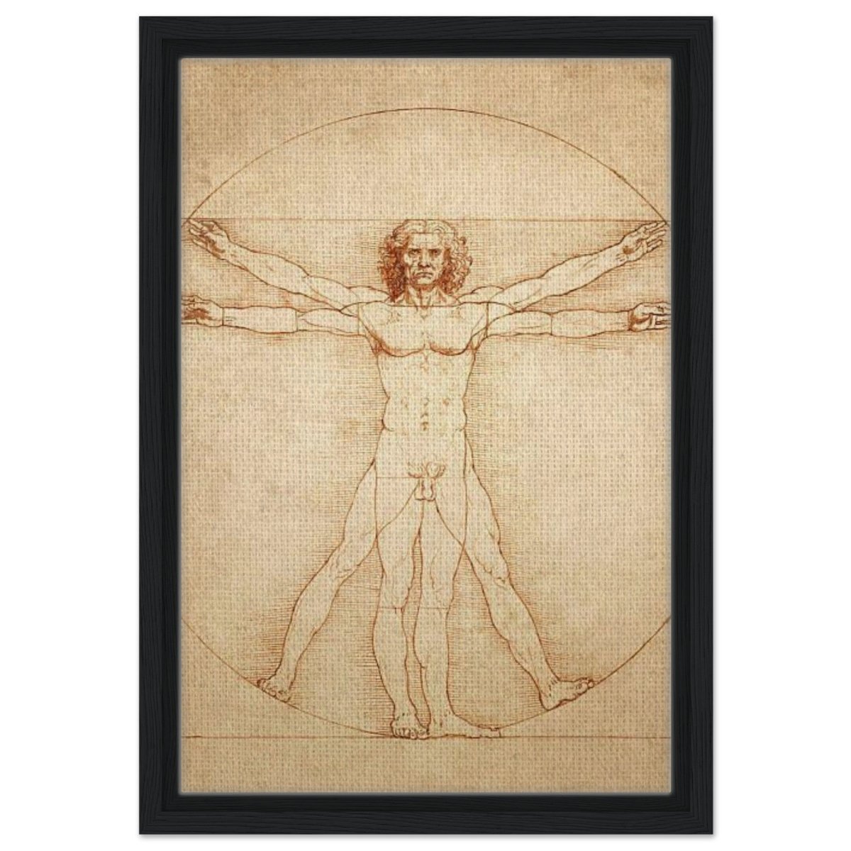 Vitruvian Man | L'uomo vitruviano by Leonardo da Vinci 1490 - Framed Canvas - 30x45 cm / 12x18″ - Black frame