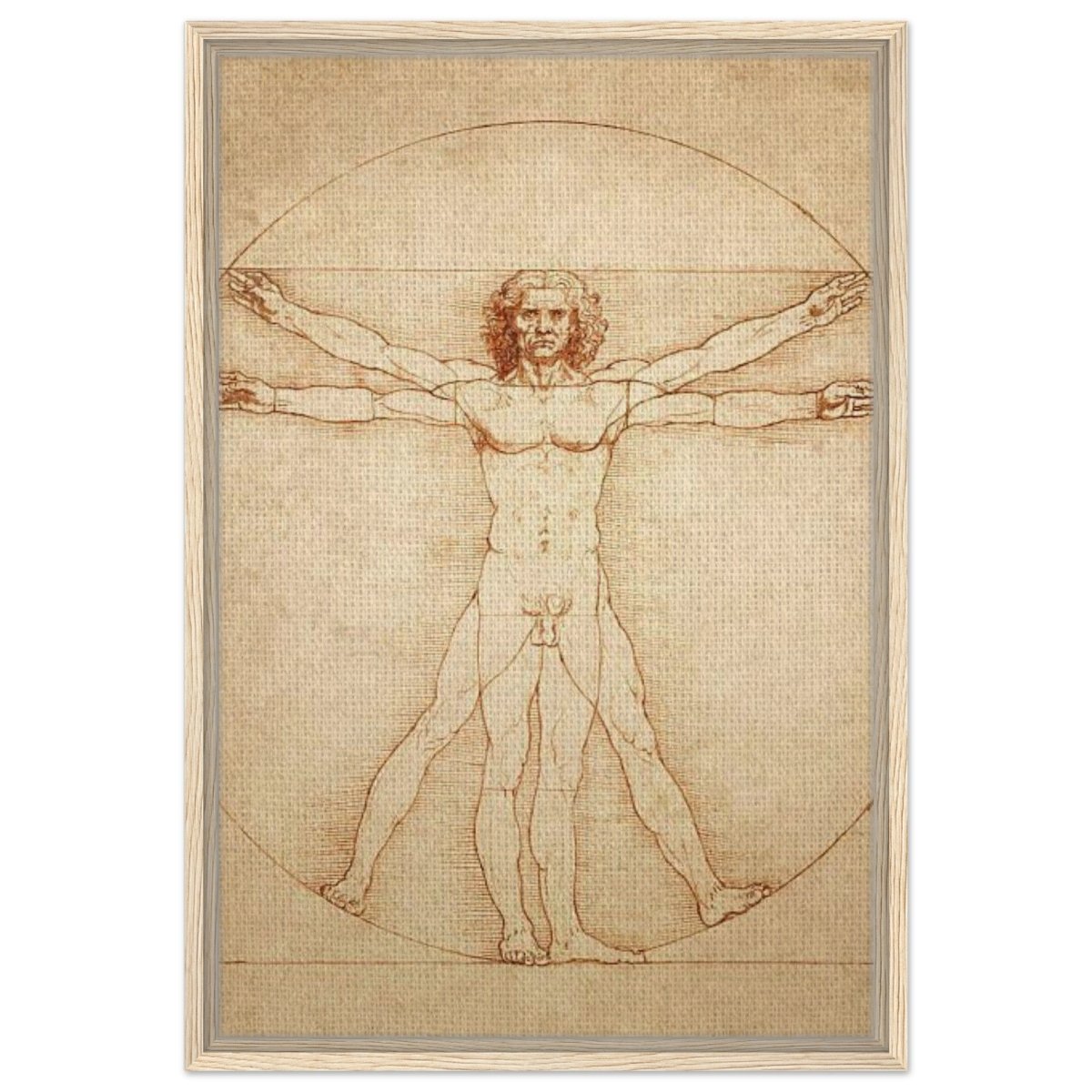 Vitruvian Man | L'uomo vitruviano by Leonardo da Vinci 1490 - Framed Canvas - 50x75 cm / 20x30″ - Wood frame