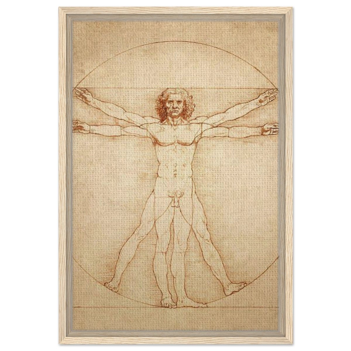 Vitruvian Man | L'uomo vitruviano by Leonardo da Vinci 1490 - Framed Canvas - 40x60 cm / 16x24″ - Wood frame